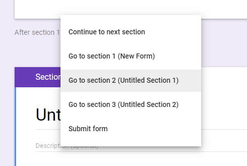 after section google form