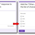 add other response to the list of choices