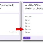 add other response to the list of choices